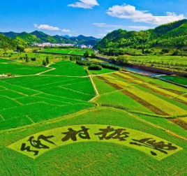 乡村振兴